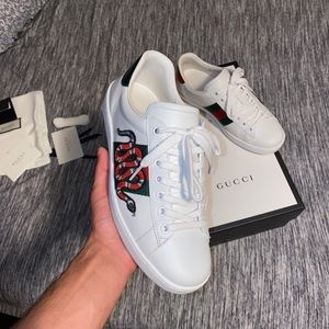 Gucci ace sneaker snake